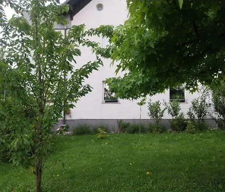 Starling Loka * Škofja Loka