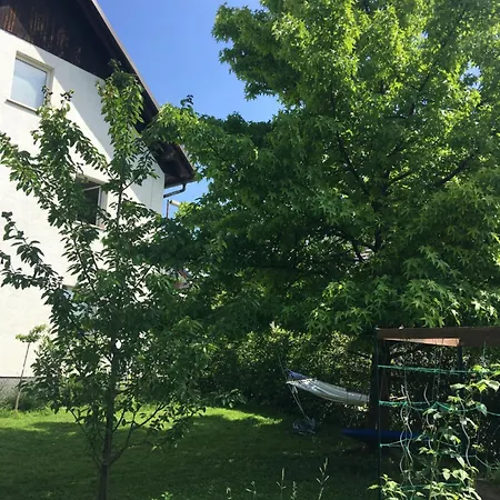 Starling Loka * Škofja Loka