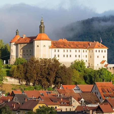 Starling Loka Škofja Loka