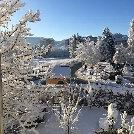Starling Loka Škofja Loka