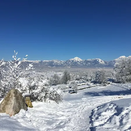 Starling Loka * Škofja Loka