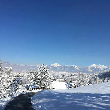 Starling Loka * Škofja Loka