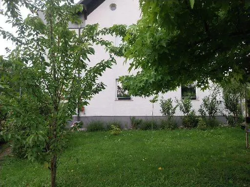 Starling Loka * Škofja Loka