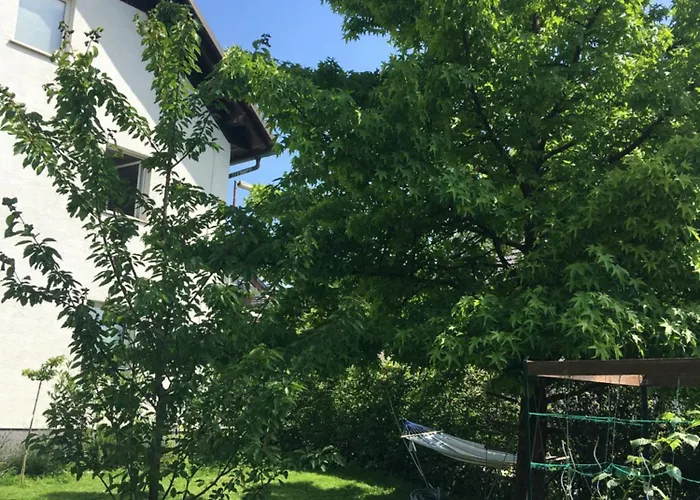 Starling Loka * Škofja Loka