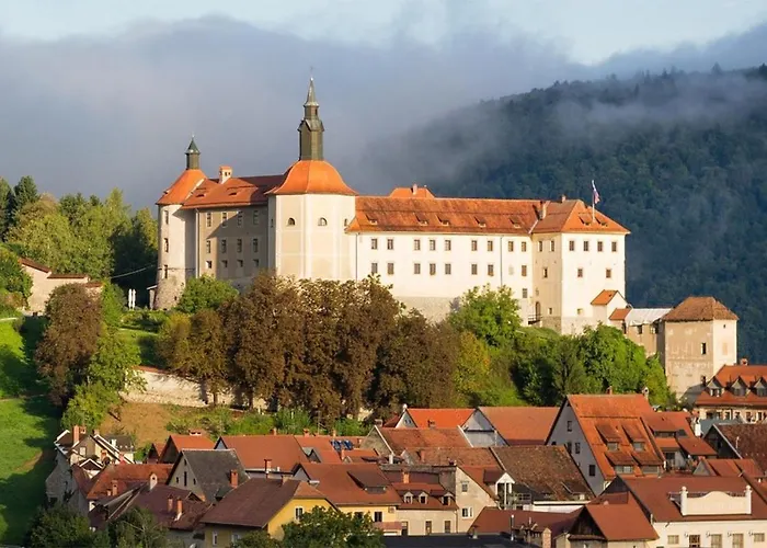 Starling Loka Škofja Loka