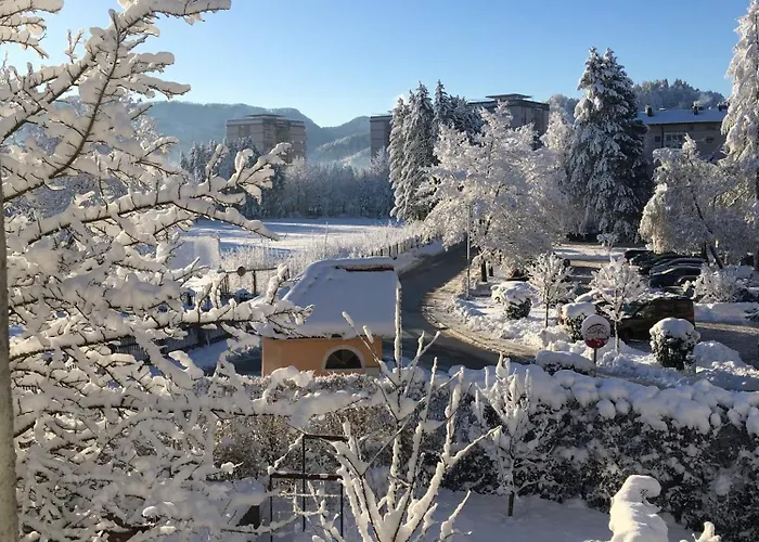 Starling Loka Skofja Loka