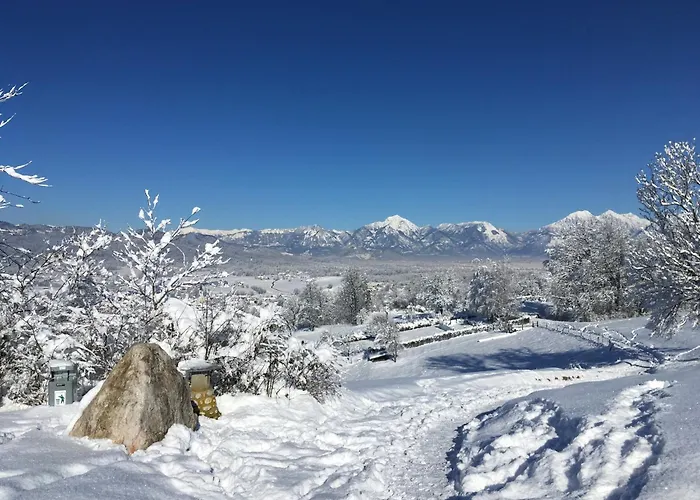 Starling Loka * Škofja Loka