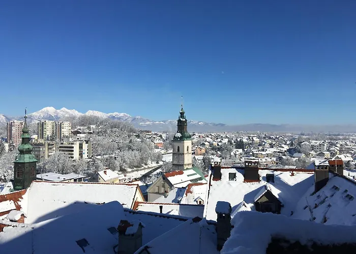 Starling Loka Appartement *