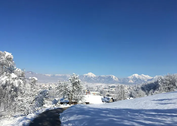 Starling Loka * Škofja Loka
